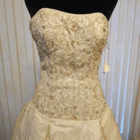 Stephen Yearick Beige Wedding Dress 6 - Picture 1 of 12